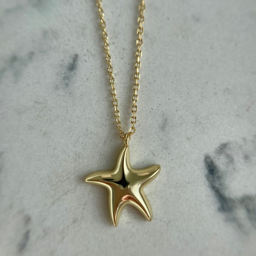 Naszyjnik z ROZGWIAZDĄ srebro pozłacane 